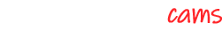 Mechbunny Cam Directory
